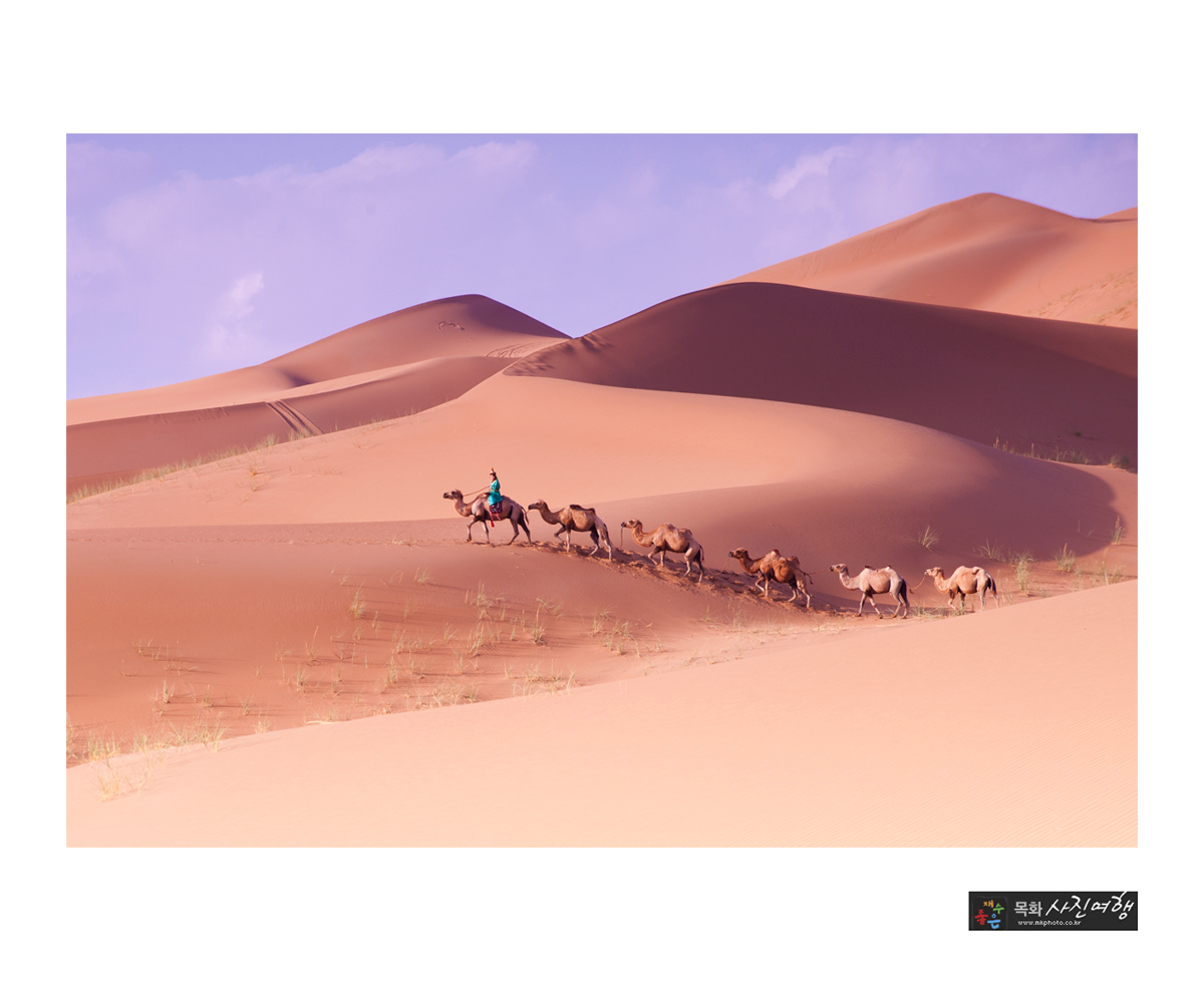 25badan-3.jpg : 7월16일과 25일 바단지린사막 견적 의뢰