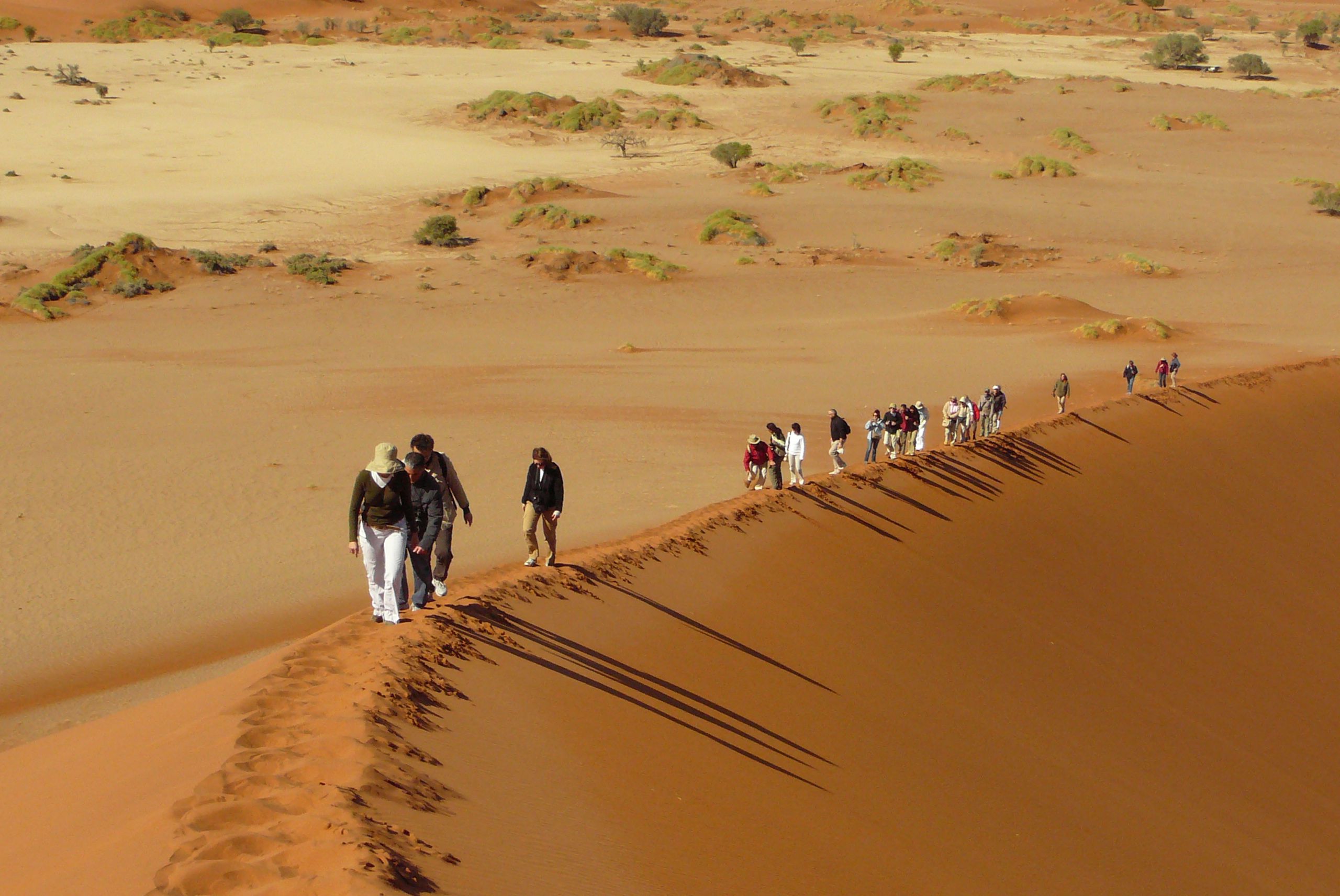 P1020370.jpg : 나미비아의 붉은사막 튠45
