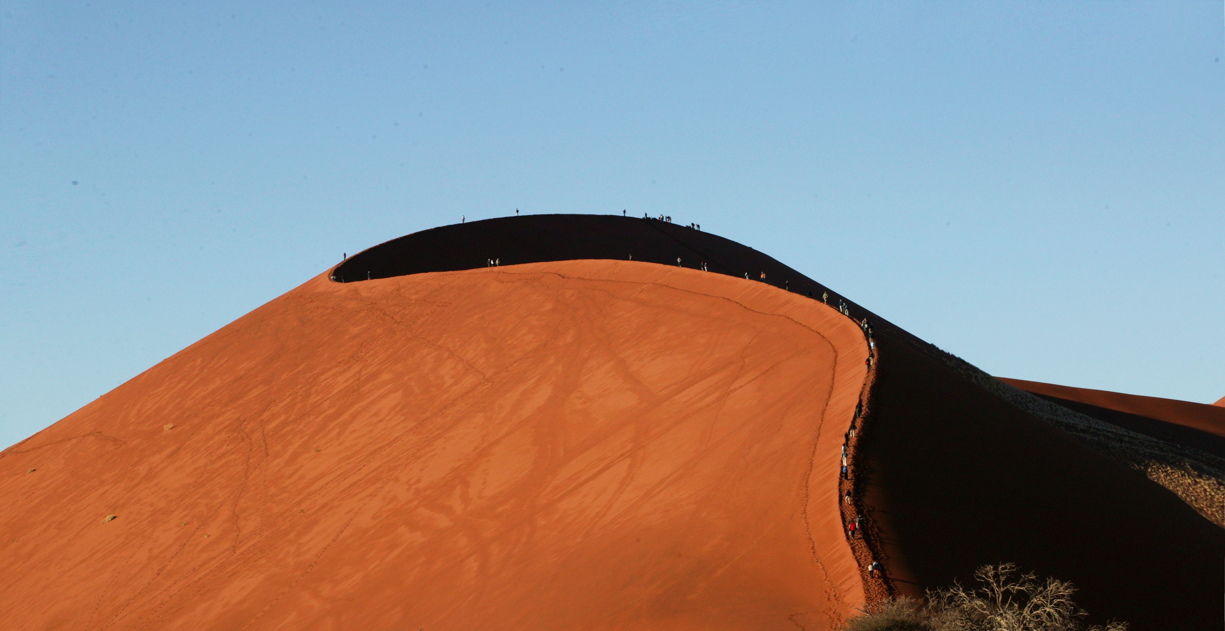 9D8W0333.jpg : 나미비아의 붉은사막 튠45