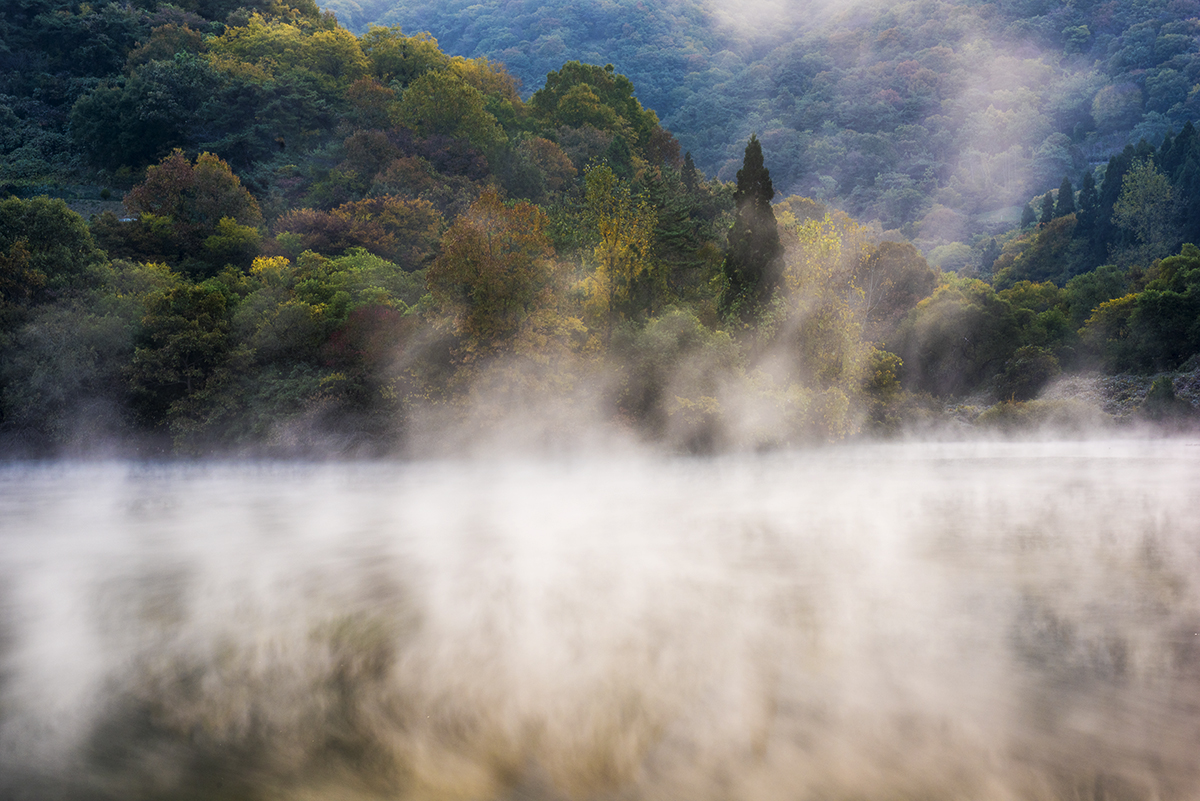 DSC_2181.jpg : 세량지