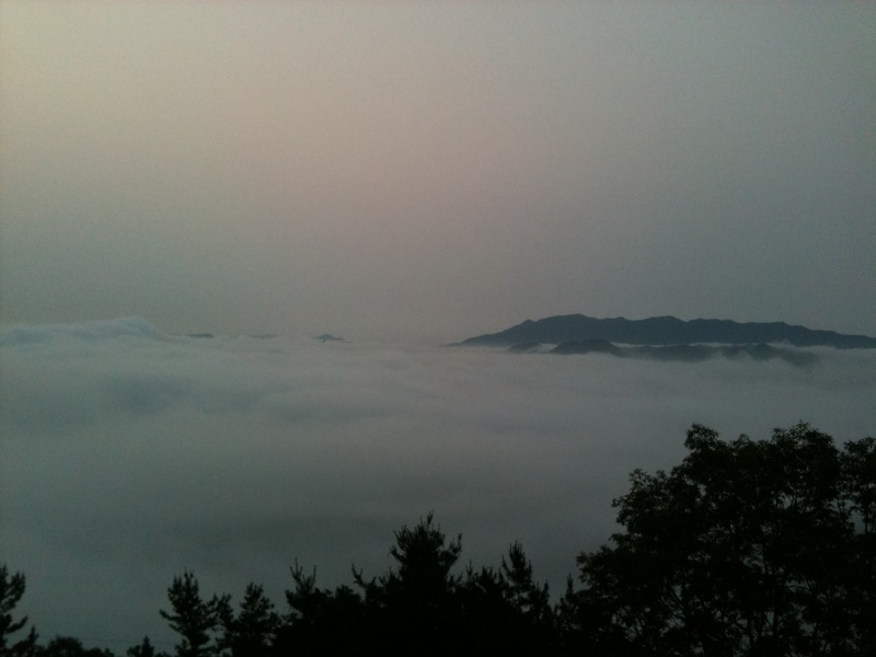 20120620052040.jpg : 현재 대전 응봉산 운해